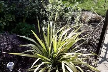 ペンション Banbury Cross B&b