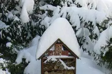 ペンション Zimmervermietung Heide Fiege