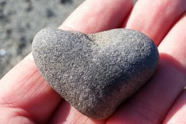 הוסטל Saltair Inn Waterfront B&b