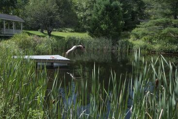 Bed and Breakfast The Featherbed Inn