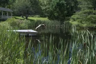 Aamiaismajoitus (B&B) The Featherbed Inn