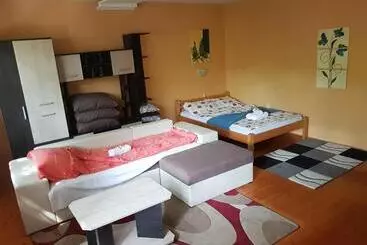 Pensjonat Fruzsi Vendégház
