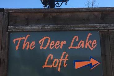 הוסטל The Deer Lake Loft