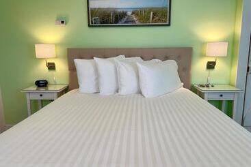 펜션 Dragonfly Guest House