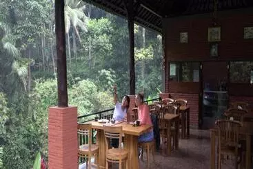 Hotel Bali Jungle Resort
