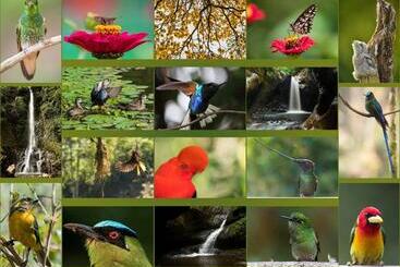 پانسیون Fami Hotel Vive Jardin