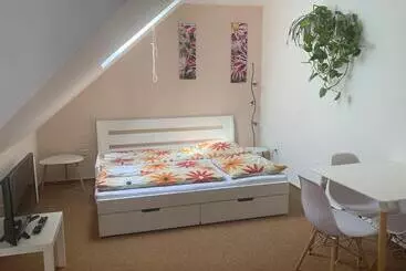 Majatalo Penzion Karlov