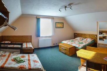 Pensjonat Wellness Penzion Palice