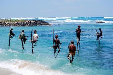 Pensão Sleepy Head Guesthouse