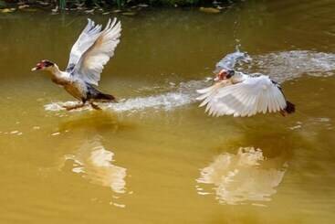 膳宿费 Pousada Luar Do Sertão