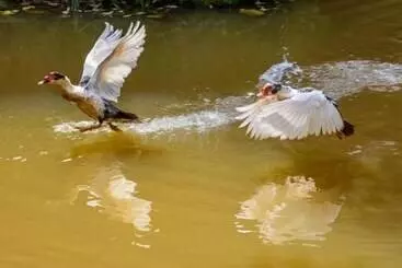 Pension Pousada Luar Do Sertão