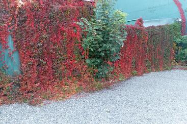 Apart Hotel Colonia Königsberg Estacionamiento Deptos Completos Ubicado En El Centro De Valdivia Air