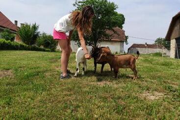 Hotel Smrekarjeva Domačija