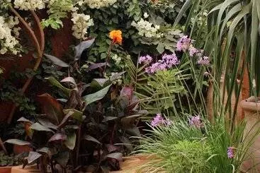 ペンション Tifawin Home And Garden