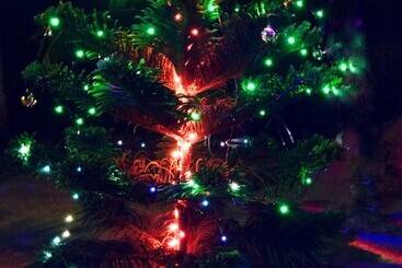 膳宿费 Seasons Four