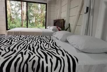 هاستل Hostal Cecilia