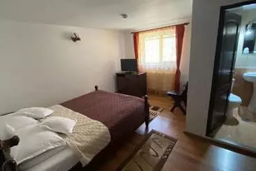Pensiunea Cerbul Carpatin