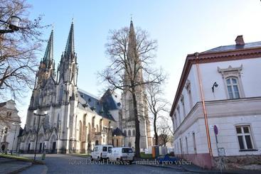 Pensjonat U Dómu Sv. Václava