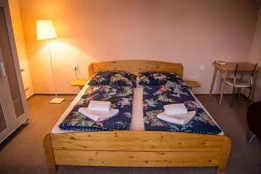 Pensione U Dómu Sv. Václava
