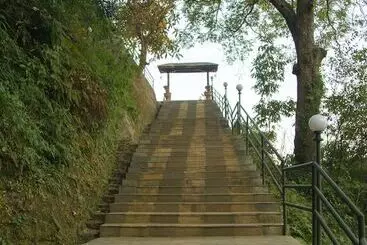 هتل The Lapsi Tree