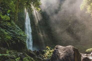 בית מלון כפרי Nirjhara