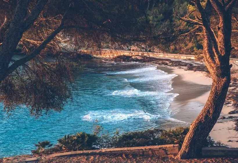 Hotel Iberostar Waves Pinos Park