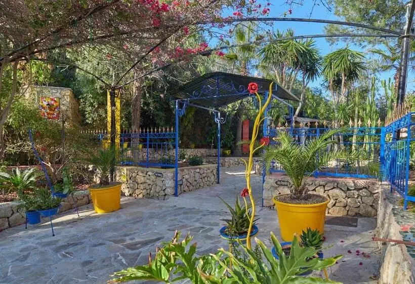 هتل Petit Cala Fornells