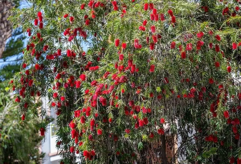 בית מלון כפרי Playavera