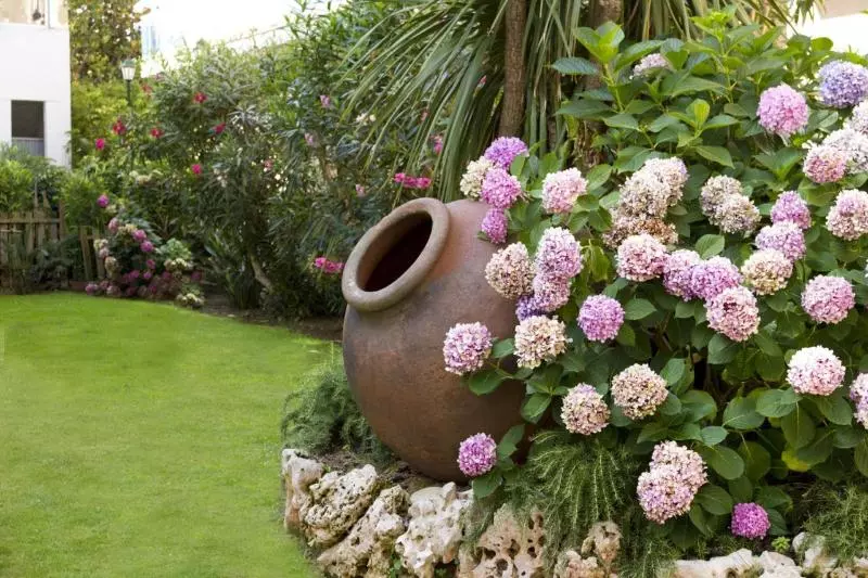 酒店 ALEGRIA Maripins