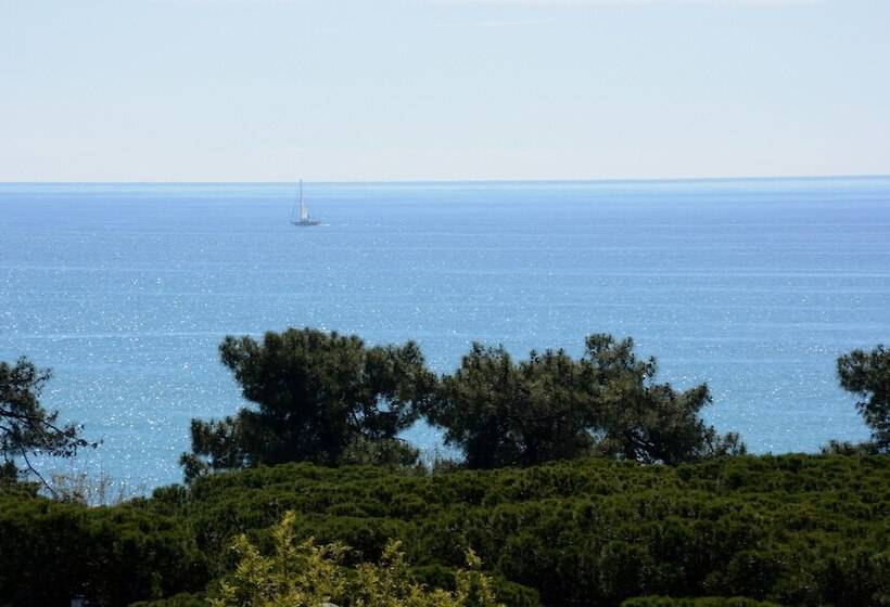 בית מלון כפרי Don ángel