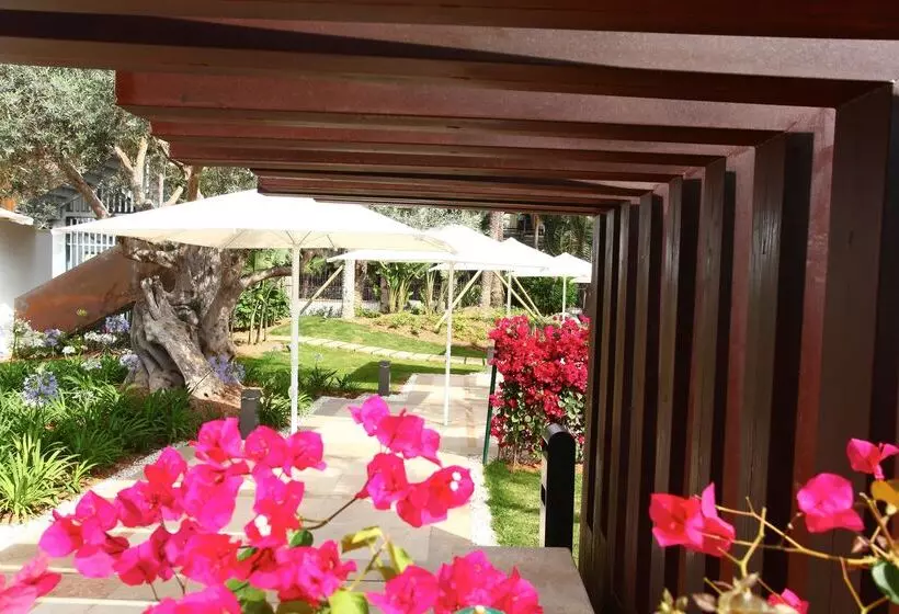 酒店 Pure Salt Garonda  Adults Only