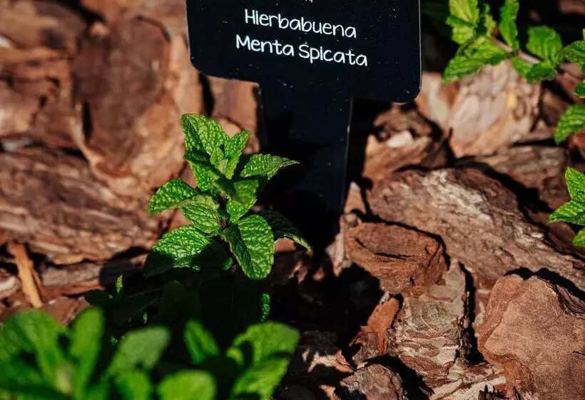 ホテル Thb Maria Isabel  Adults Only