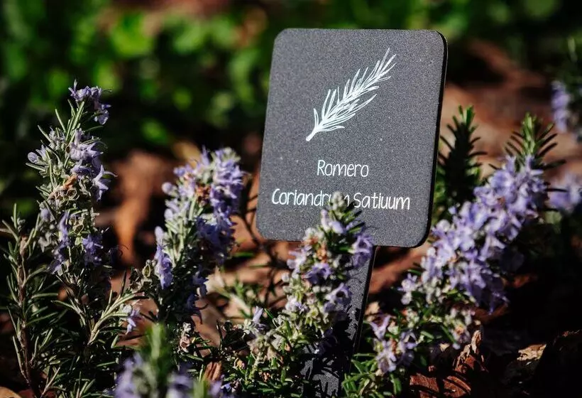 ホテル Thb Maria Isabel  Adults Only