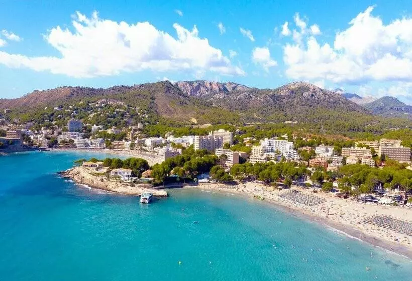 ホテル Vibra Beverly Playa