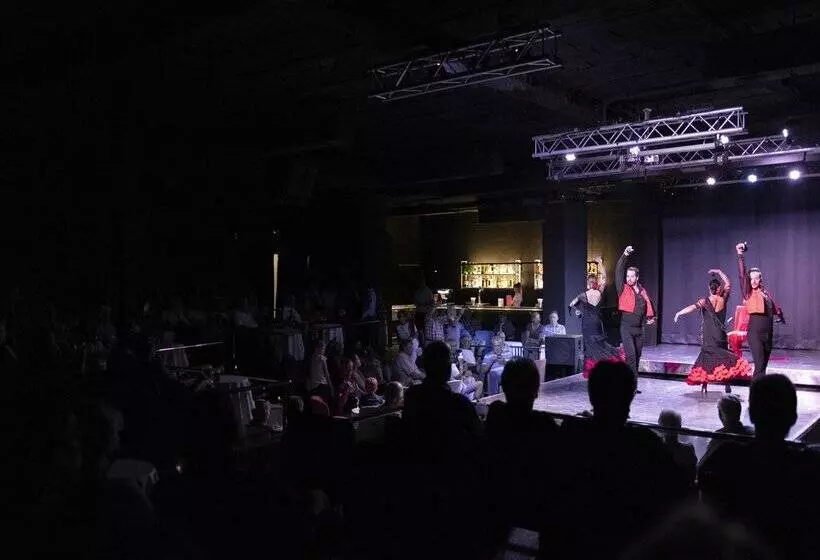 ホテル Vibra Beverly Playa