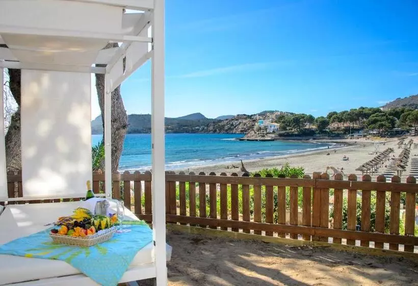 ホテル Vibra Beverly Playa