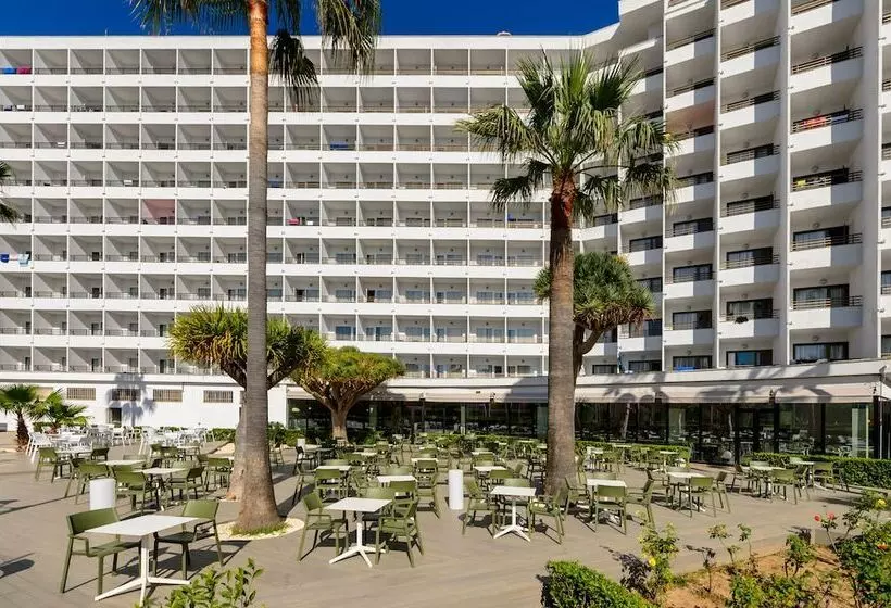 ホテル Vibra Beverly Playa