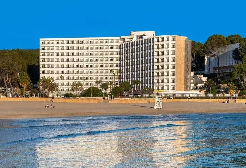 ホテル Vibra Beverly Playa