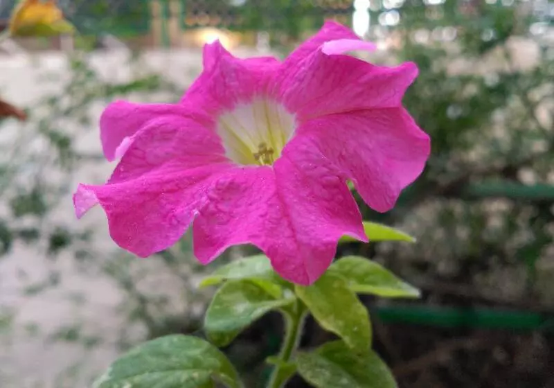 酒店 Castillo Lanjaron