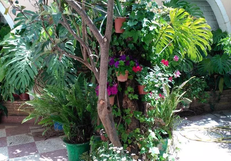 酒店 Castillo Lanjaron