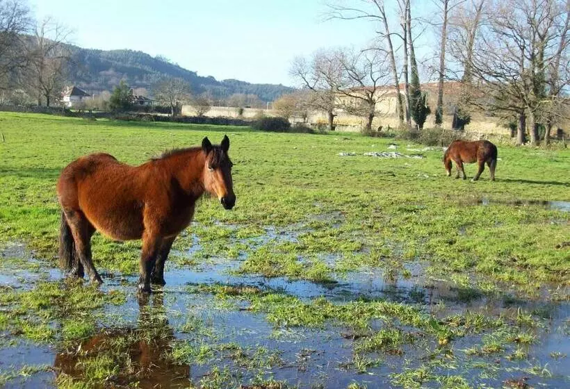 בית מלון כפרי Rural En Escalante Las Solanas