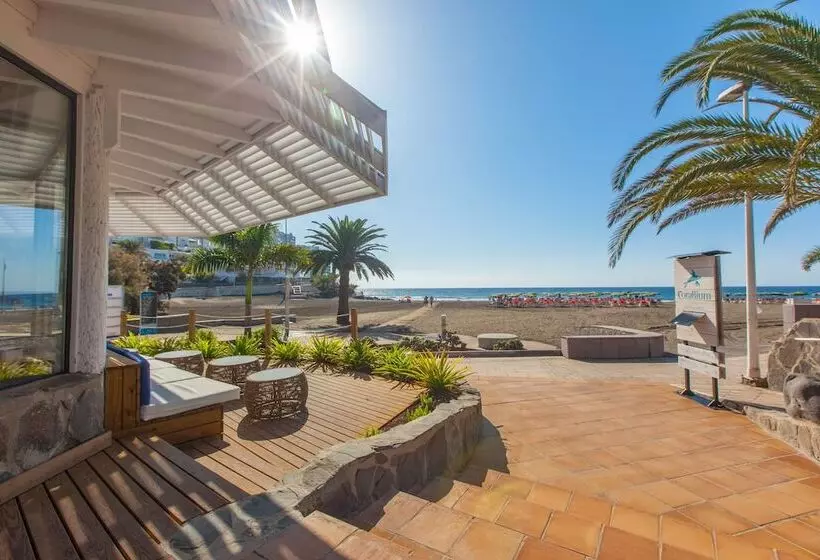 Corallium Beach by Lopesan Hotels - Adults Only