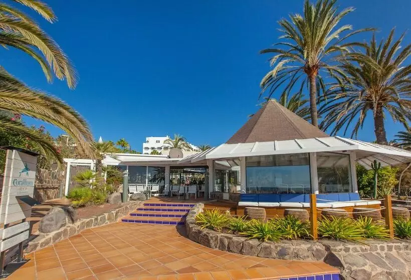 Corallium Beach by Lopesan Hotels - Adults Only