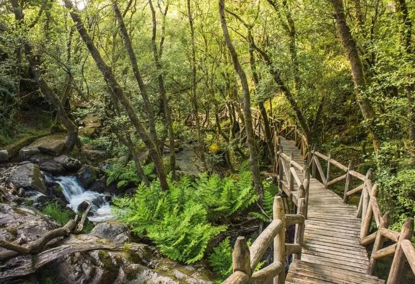 فندق Leal   La Sirena