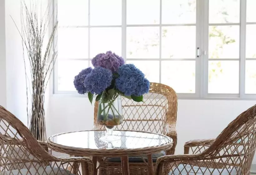 فندق Leal   La Sirena