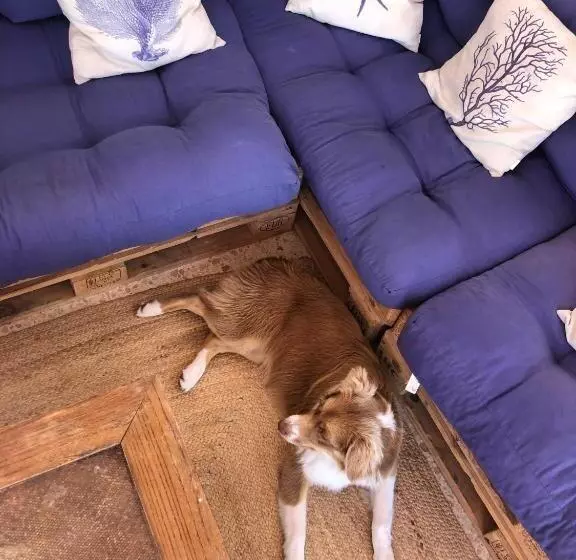 فندق Leal   La Sirena