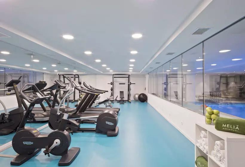 Hotel Melia Madrid Princesa