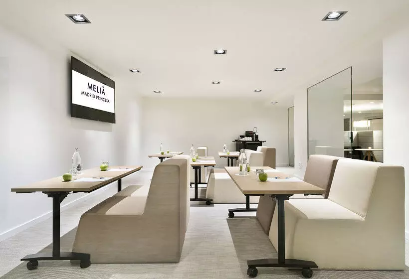 Hotel Melia Madrid Princesa