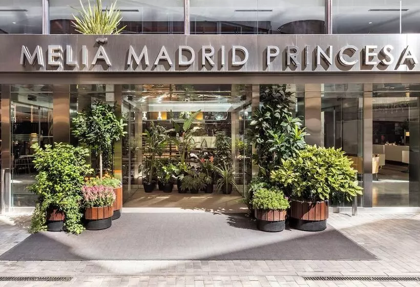 Hotel Melia Madrid Princesa