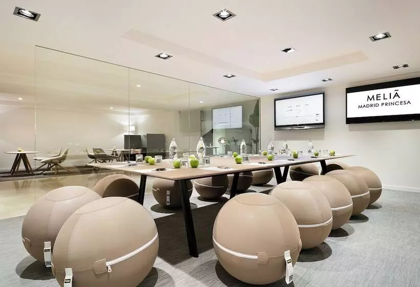 Hotel Melia Madrid Princesa